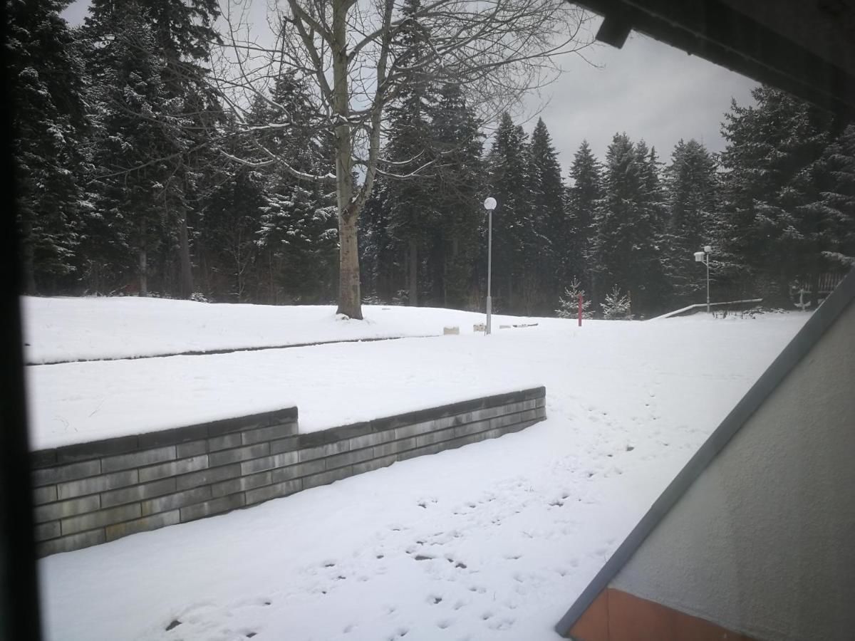 Отель ELA hotel Боровец