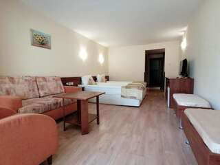 Отель ELA hotel Боровец Twin Room Pet Friendly (Ground Floor)-4